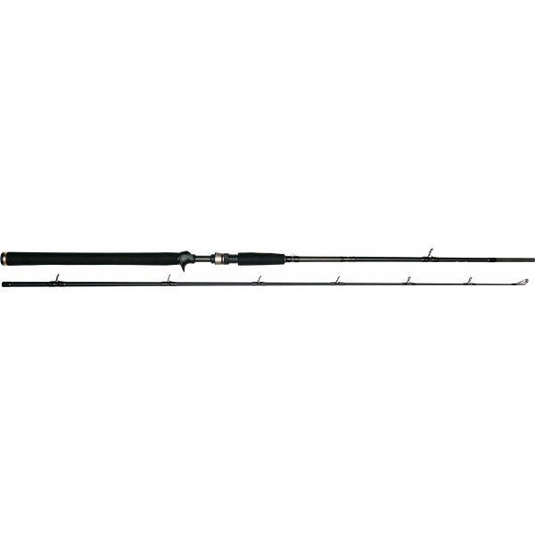 Westin W3 Jerkbait-T 2nd H / 20-80 g Angelrute